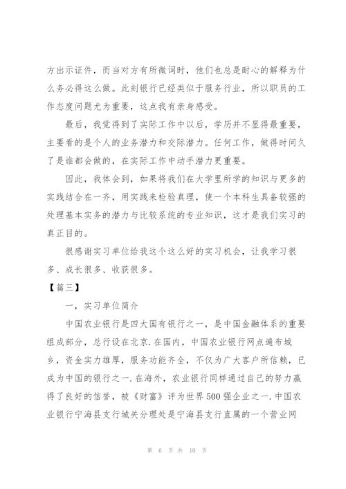 银行个人实习工作总结范例.docx