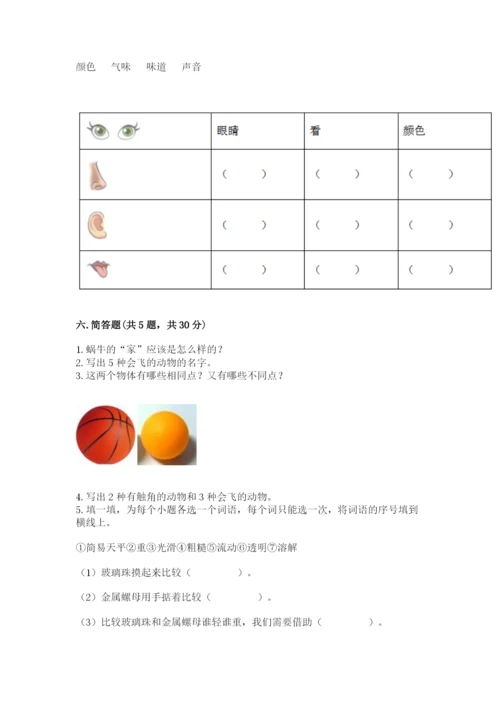 教科版小学科学一年级下册期末测试卷及参考答案【模拟题】.docx