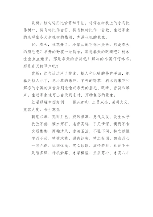 红星照耀中国好词好句加赏析.docx