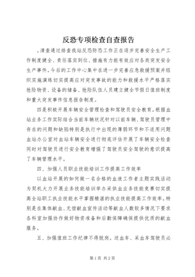 反恐专项检查自查报告 (2).docx