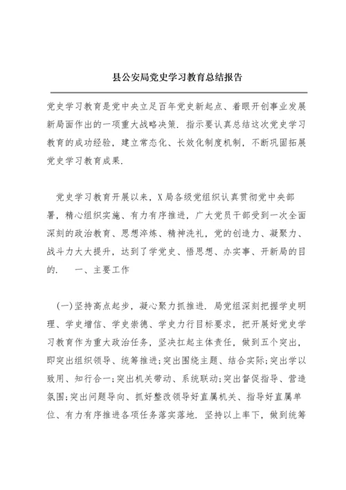 县公安局党史学习教育总结报告.docx