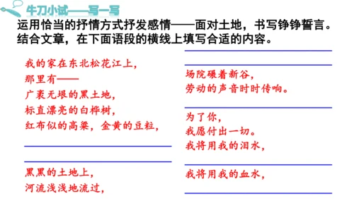 8《 土地的誓言》