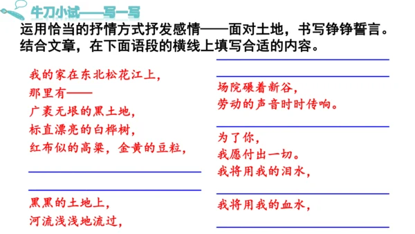 8《 土地的誓言》