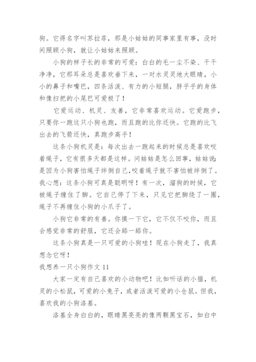 我想养一只小狗作文.docx