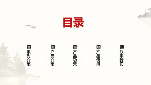 中国风中医药医疗保健产品介绍