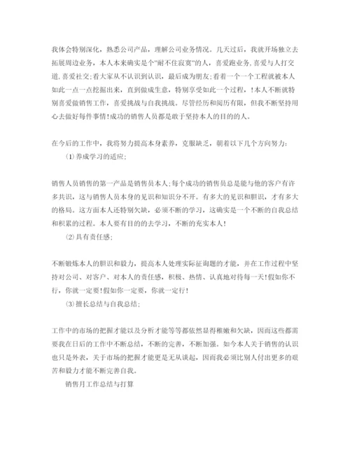 精编工作总结销售月工作总结与参考计划范文.docx