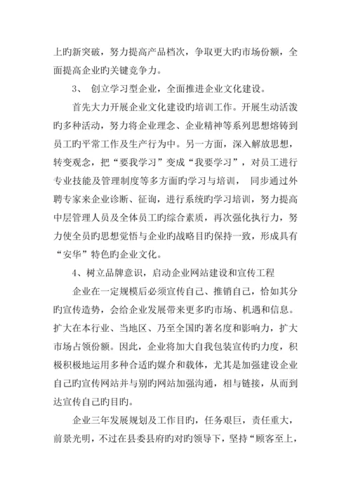企业三年发展规划.docx