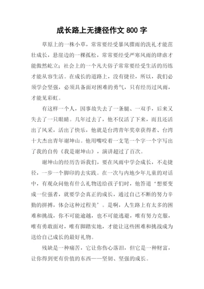 成长路上无捷径作文800字-1.docx