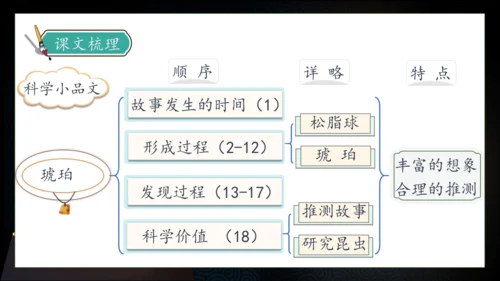 【核心素养】部编版语文四年级下册-5.琥珀 第2课时（课件）