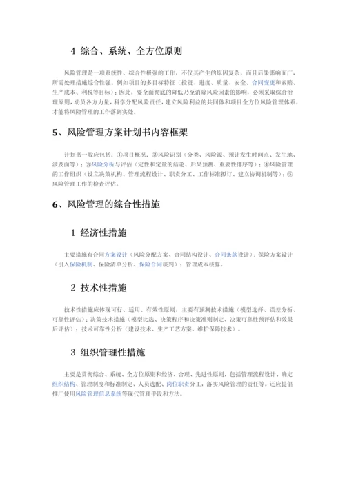 项目风险管理.docx