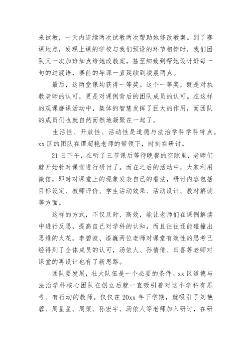 最新七年级道德与法治教学工作总结(13篇).docx