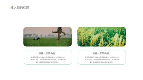 绿色水彩风珍惜粮食教育PPT模板