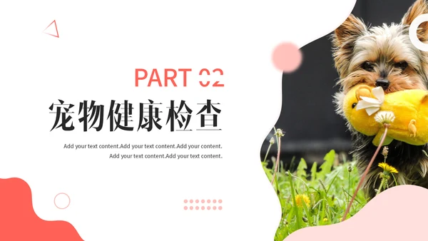 宠物健康护理，狗狗通用PPT模板