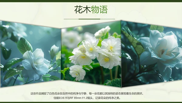 绿色简约风摄影师个人作品集PPT模板