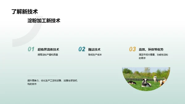 农业淀粉：技术变革之路