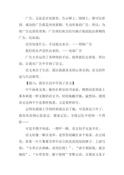 我从生活中学到了语文作文.docx