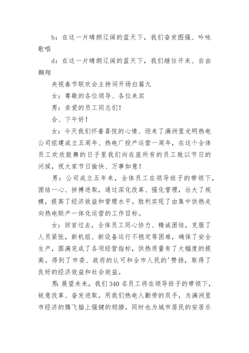 央视春节联欢会主持词开场白(14篇).docx