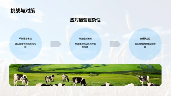 农业供应链创新策略