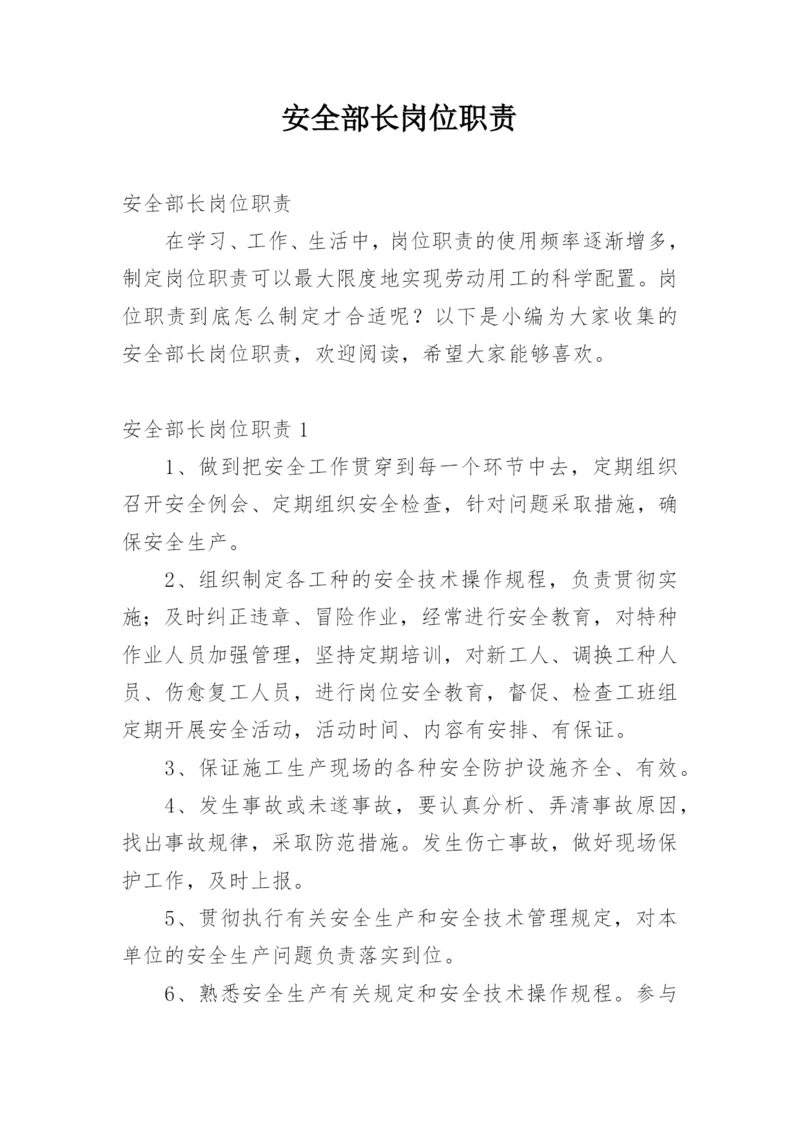 安全部长岗位职责.docx