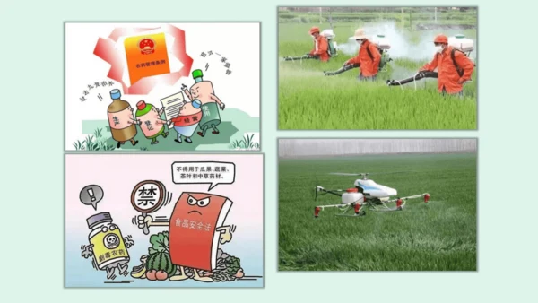 10.《我们所了解的环境污染》（第二课时）  课件
