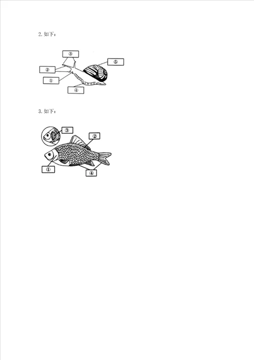 教科版科学一年级下册第二单元动物测试卷完美版