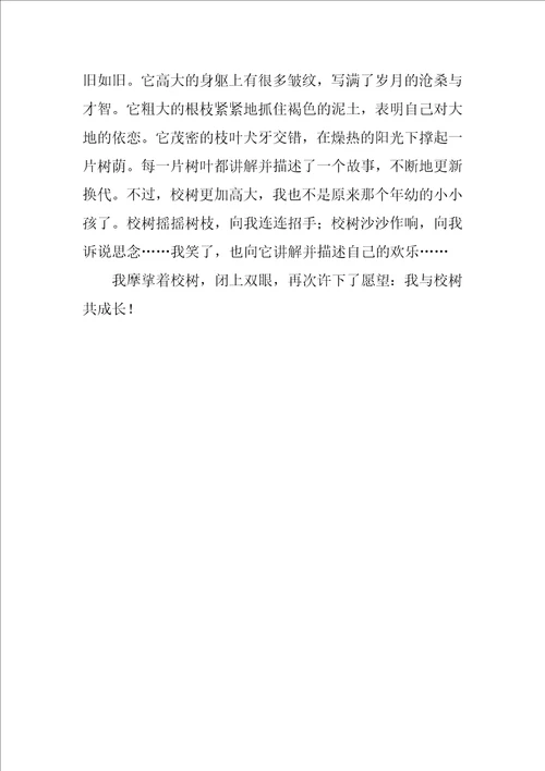 我与校树共成长作文