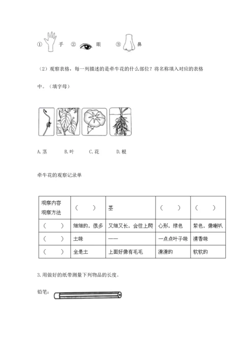 教科版小学一年级上册科学期末测试卷及完整答案【网校专用】.docx