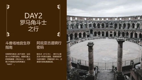 褐色简约风欧洲旅行攻略模板
