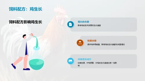 卓效饲料配方助力鸡业生产