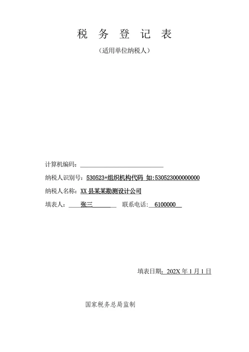 税务登记表填写样式