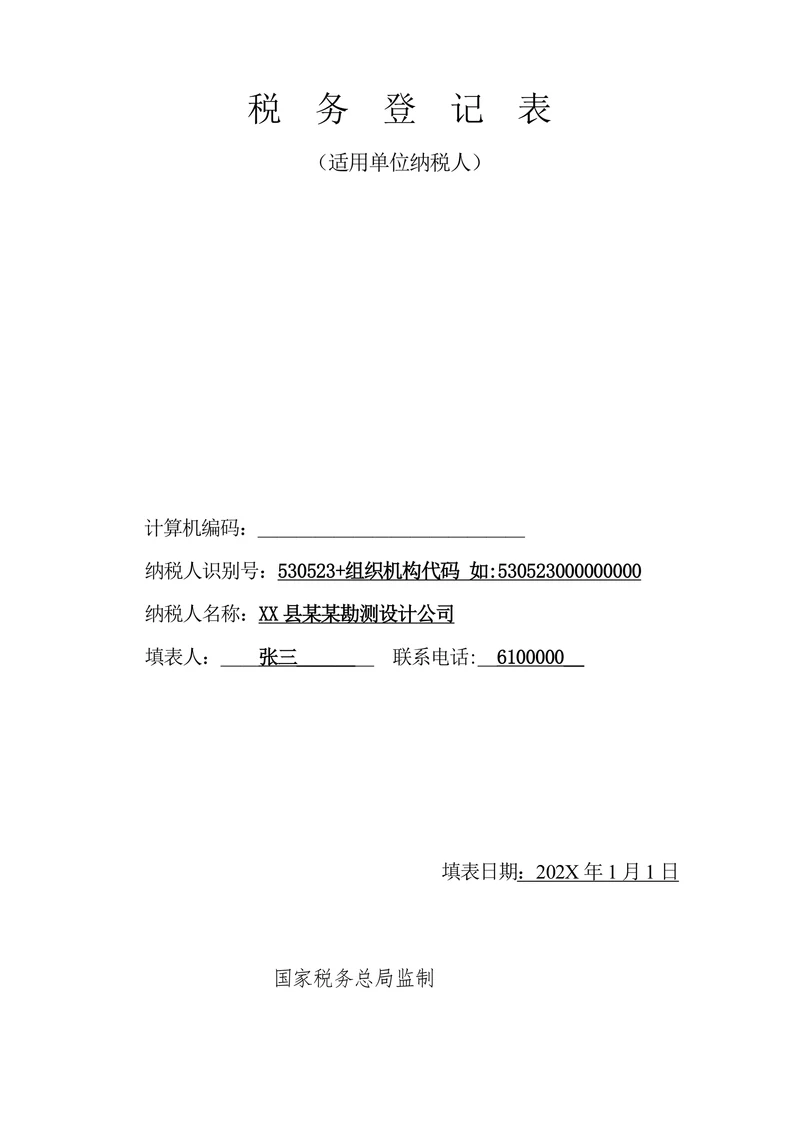 税务登记表填写样式