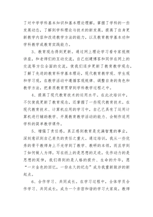 小学教师继续教育个人总结.docx
