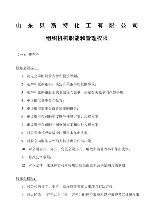 公司组织机构设计专题方案.docx