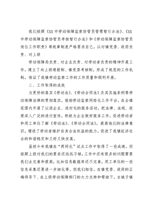 古城子镇劳动保障监察总结