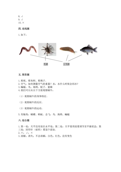 教科版一年级下册科学期末测试卷及参考答案（预热题）.docx