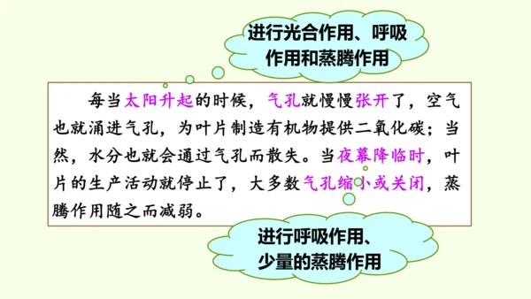 3.2.1水的利用与散失-七年级生物下学期同步精品课件（2024人教版）(共32张PPT)