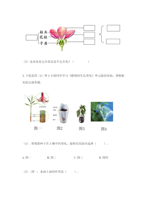 科学四年级下册第一单元植物的生长变化测试卷精品【考试直接用】.docx