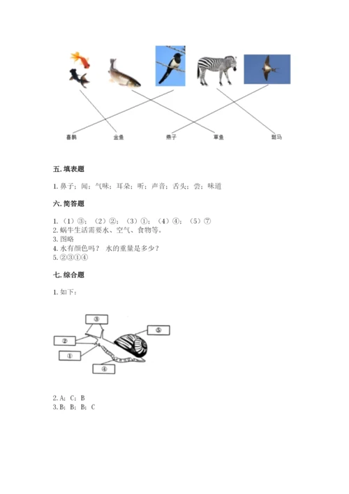 教科版小学科学一年级下册期末测试卷a4版.docx