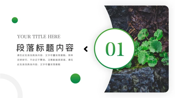 唯美绿色植物发芽植物生长敬畏生命PPT模板