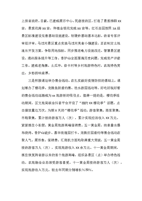 区文化和旅游局新编2021年度工作情况总结优选