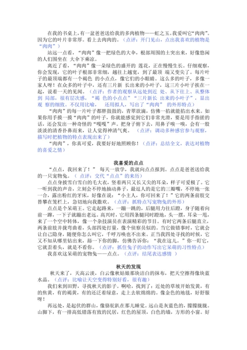 统编版2024-2025学年语文三年级上册第五单元习作 我们眼中的缤纷世界（讲义）