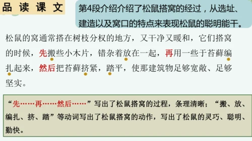 第17课《松鼠》课件