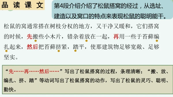 第17课《松鼠》课件