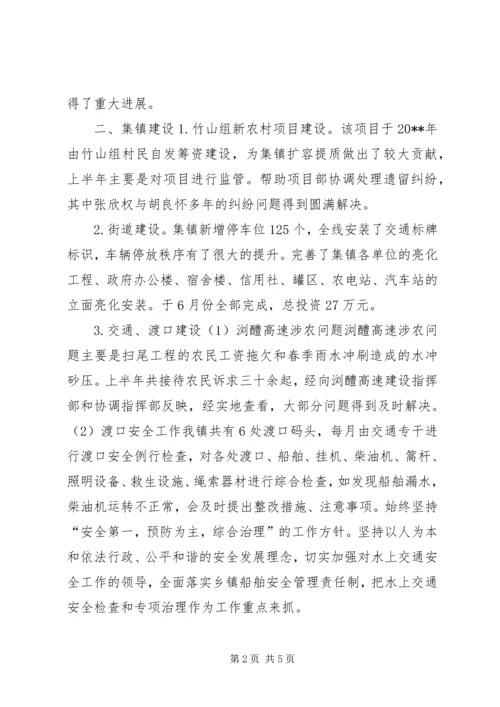 乡镇城建开发办某年总结.docx