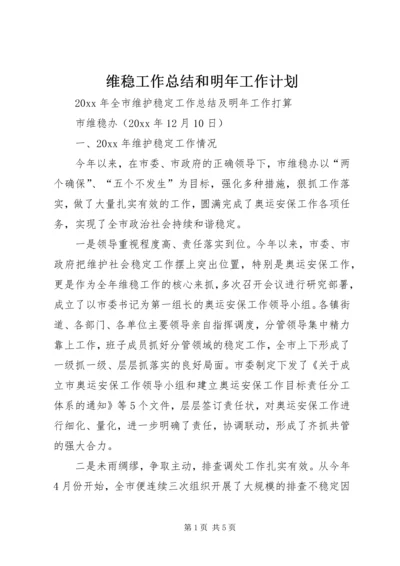 维稳工作总结和明年工作计划 (3).docx