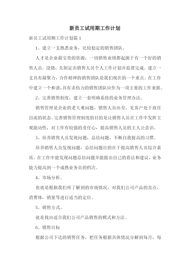 新员工试用期工作计划.docx