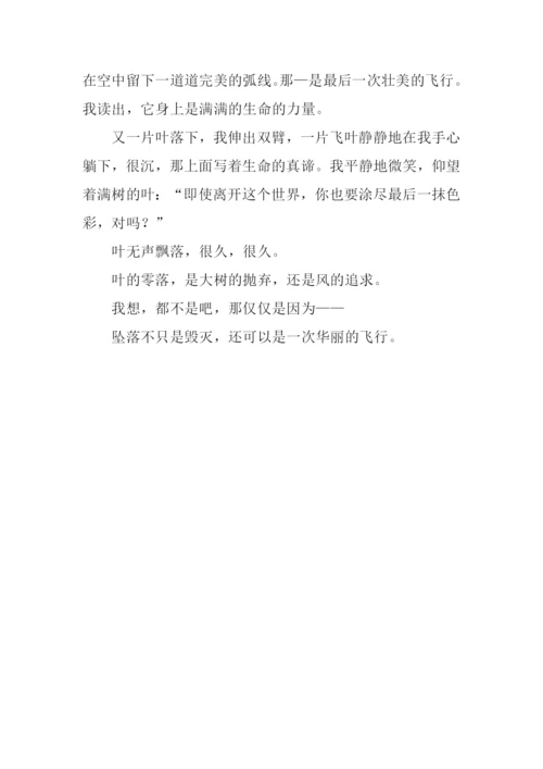 仰望飞叶作文600字.docx