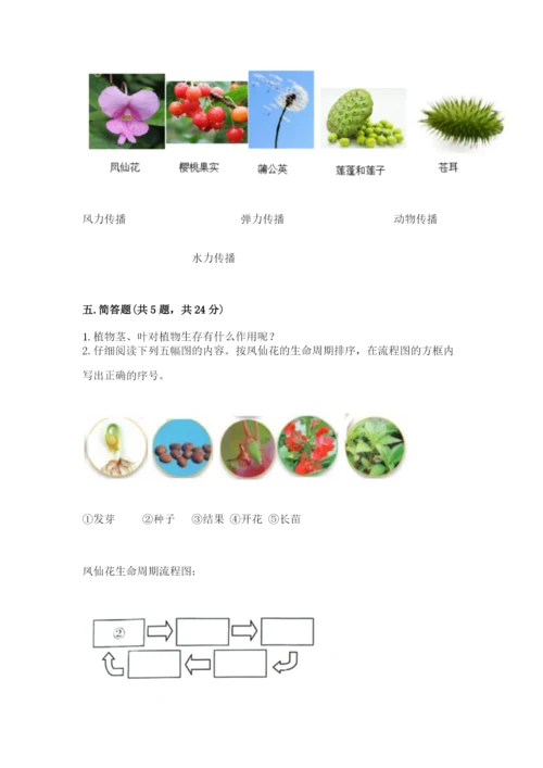 教科版四年级下册科学第一单元《植物的生长变化》测试卷精品（夺冠系列）.docx