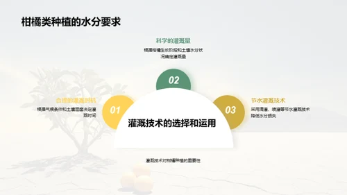 柑橘栽培的科技革新