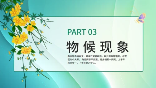 春光杨柳立春嫩绿色通用PPT模板